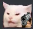 Wut_Cat Discord Emoji