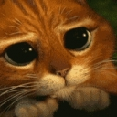 :pusspuppyeyes: Discord Emote