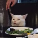 nastycat Discord Emoji