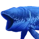 HGpogwhale HGpogwhale