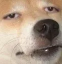 bruh bruh