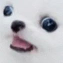 WigglyMarshymello