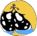 anguish