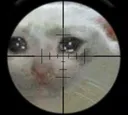 sadcatdeath