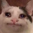 Cat Cri catcri Discord Emoji