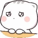 pleadingcat