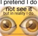 icansee