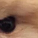 doggomad6