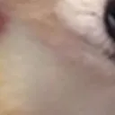 doggomad7