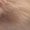 doggomad9 doggomad9