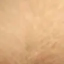 doggomad2