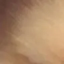 doggomad1