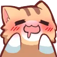 Nkogasm
