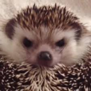 jez Discord emoji