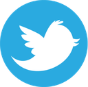 twitter Discord emoji