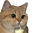 chatlait