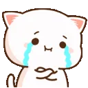 kittycryOwO