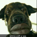 :lemme_sniff: Discord Emote