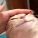 emoji_18 emoji_18