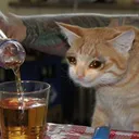 CE_SadDrinking CE_SadDrinking