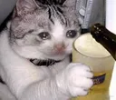 CE_SadDrinks CE_SadDrinks