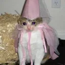 CE_SadFairy CE_SadFairy