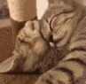 CE_CattoSnuggles