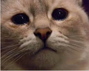 onela Discord emoji