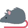 ratD