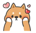 CUTE CUTE