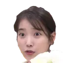 IUshookt