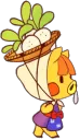 daisymaewalk