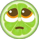 lime_pleading