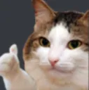 thumbs_up thumbs_up