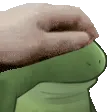 PETTHEFROGE