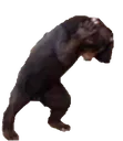FUCK FUCK