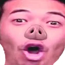 pigu