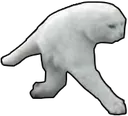 whenyouWALKING