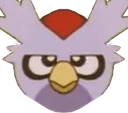 burdnotamused