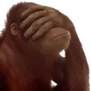 monkeyfacepalm