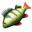 thefish