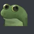 surprisedfrog surprisedfrog