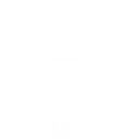 TeamStaravicWhite