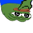 PeepoThinkR