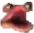 pognt