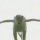 kermit
