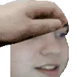 PETTHEZEUS