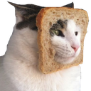 toastcat Discord emoji