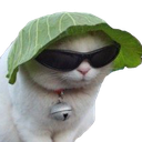 saladcat Discord emoji