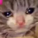 hhhhhhhh